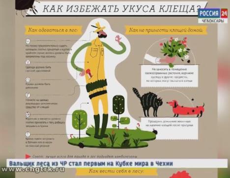 Жители Чебоксар и Новочебоксарска становятся жертвами клещей Жители Чебоксар и Новочебоксарска становятся жертвами клещей