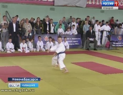 Юные воспитанники республиканской федерации всестилевого каратэ проверили свою готовность к летнему сезону Юные воспитанники республиканской федерации всестилевого каратэ проверили свою готовность к летнему сезону