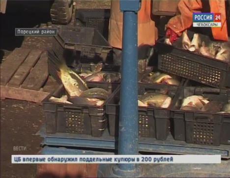 Специалисты Россельхознадзора проверяют водоёмы, где разводят или ловят рыбу Специалисты Россельхознадзора проверяют водоёмы, где разводят или ловят рыбу