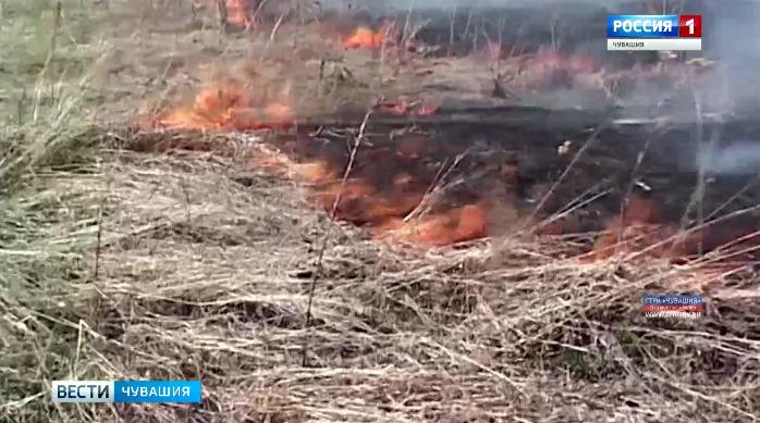В Моргаушском районе мужчина во время пала травы получил ожоги В Моргаушском районе мужчина во время пала травы получил ожоги