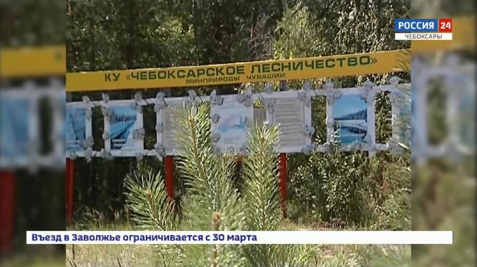 Своей беспечностью чебоксарцы вынудили власти закрыть Заволжье Своей беспечностью чебоксарцы вынудили власти закрыть Заволжье