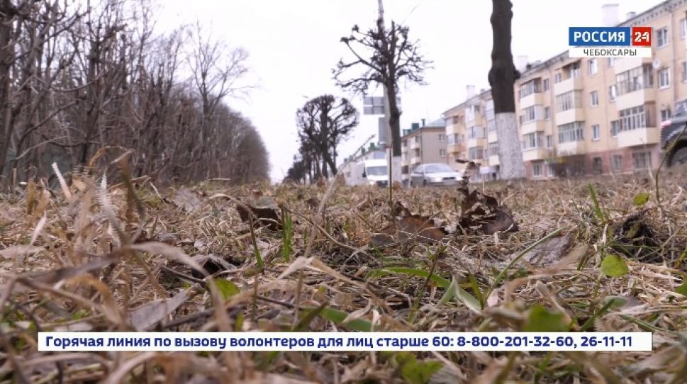 В Чувашию на несколько дней вернется снежная зима В Чувашию на несколько дней вернется снежная зима