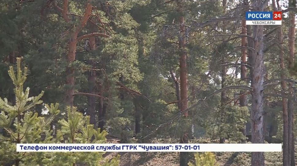Чувашия готовится к летнему сезону Чувашия готовится к летнему сезону