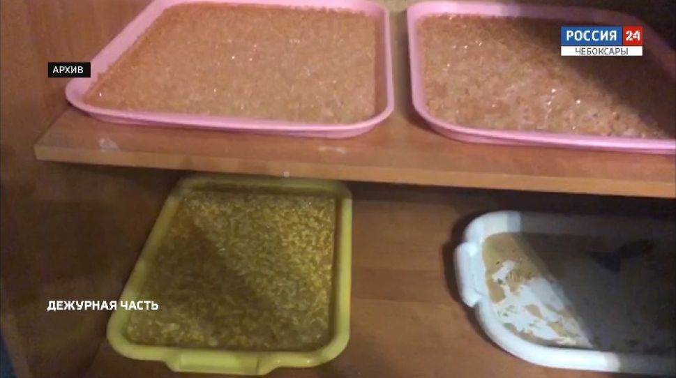 Продавцы наркотиков, работавшие в Чебоксарах, могут сесть на 20 лет Продавцы наркотиков, работавшие в Чебоксарах, могут сесть на 20 лет