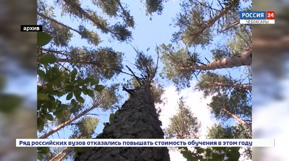 О поправках в конституцию, касающихся экологии О поправках в конституцию, касающихся экологии