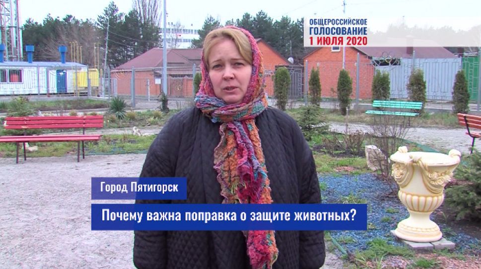 Владимир Путин одобрил закрепление в Конституции нормы о защите животных Владимир Путин одобрил закрепление в Конституции нормы о защите животных