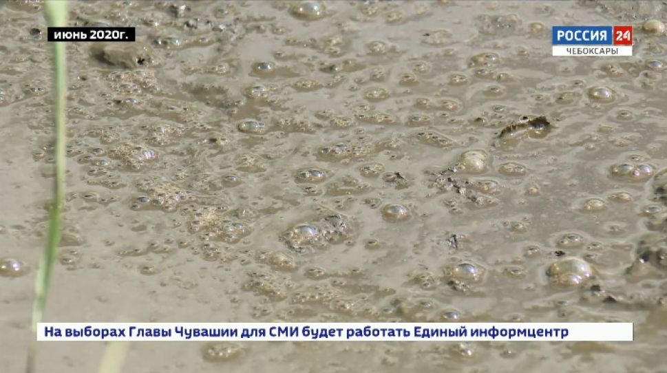 Моргаушскую агрофирму оштрафовали на 3 млн рублей за сброс навоза Моргаушскую агрофирму оштрафовали на 3 млн рублей за сброс навоза