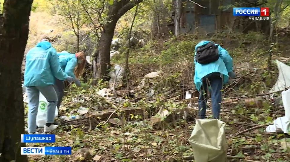 Тасалӑх кунӗнче ҫамрӑксемпе ветерансем тавралӑха тирпейлеме тухрӗҫ Тасалӑх кунӗнче ҫамрӑксемпе ветерансем тавралӑха тирпейлеме тухрӗҫ