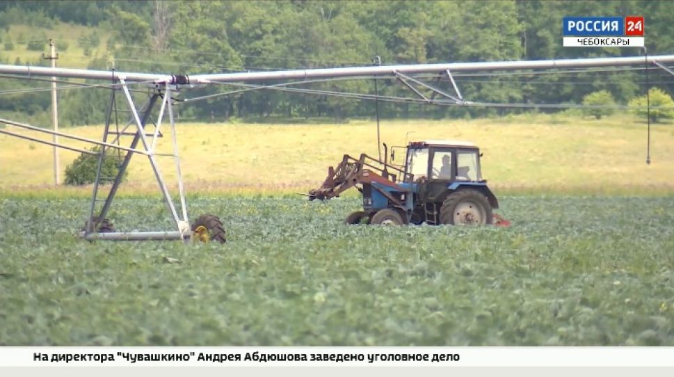 Гранты в Чувашии: мало получить, необходимо грамотно распорядиться Гранты в Чувашии: мало получить, необходимо грамотно распорядиться