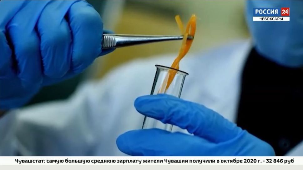 В Чебоксарах наградили победителей конкурса «Школьный ревизорро» В Чебоксарах наградили победителей конкурса «Школьный ревизорро»