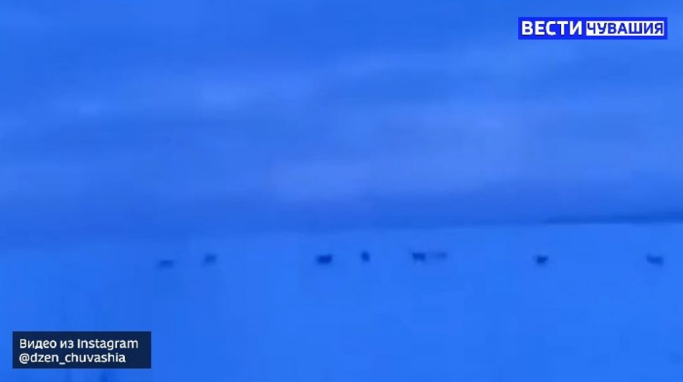 В Канашском районе была замечена стая из 17 волков В Канашском районе была замечена стая из 17 волков