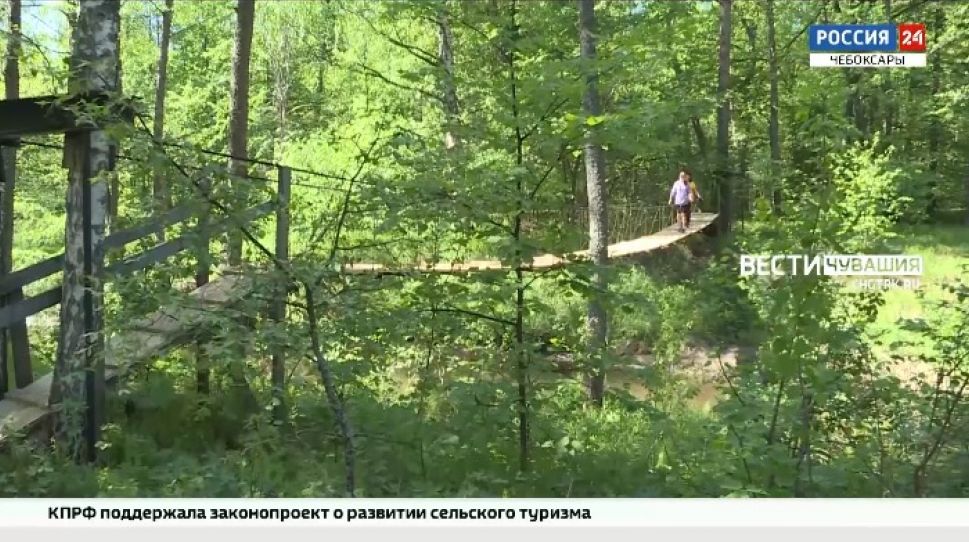 В Чувашии от клещей обработали 124 га зон отдыха
В Чувашии от клещей обработали 124 га зон отдыха