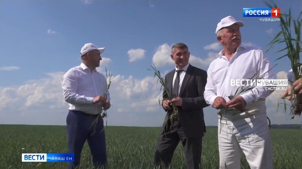 Уявра та савӑнчӗҫ, выльӑх-чӗрлӗх комплексне те хута ячӗҫ Уявра та савӑнчӗҫ, выльӑх-чӗрлӗх комплексне те хута ячӗҫ