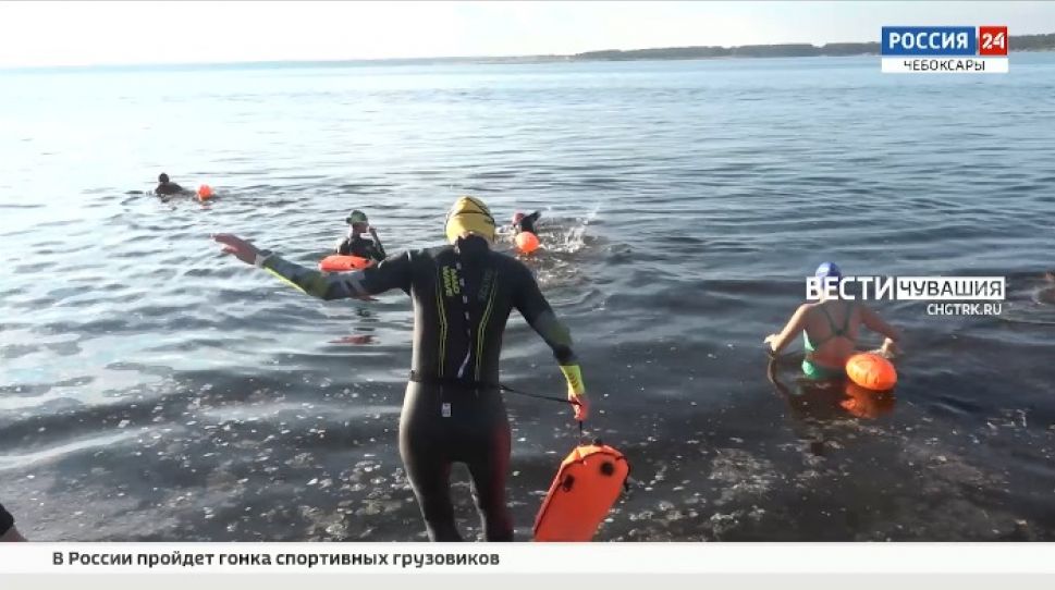 Заплыв через Волгу «Chebswim 2021» пройдет 3 июля Заплыв через Волгу «Chebswim 2021» пройдет 3 июля