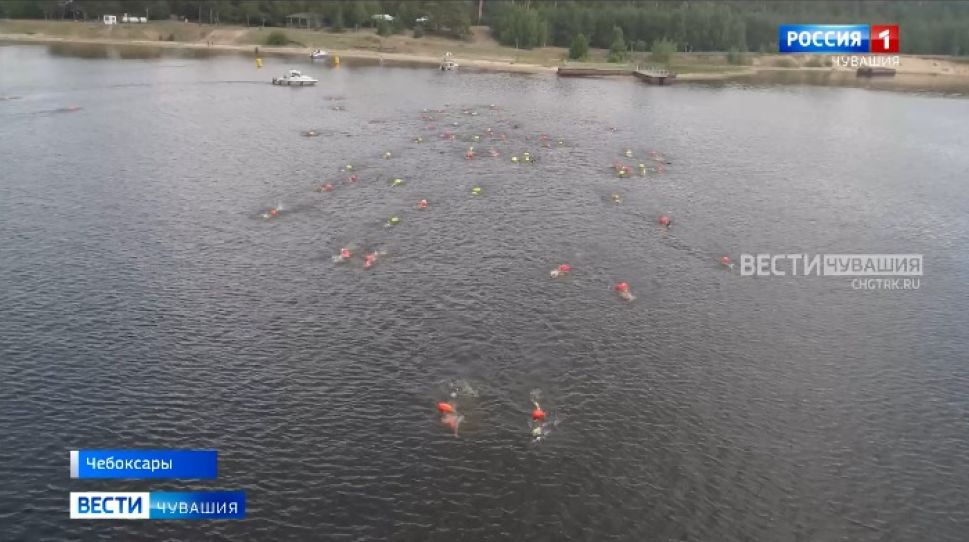 Около сотни пловцов-любителей приняли участие в «Chebswim 2021» Около сотни пловцов-любителей приняли участие в «Chebswim 2021»