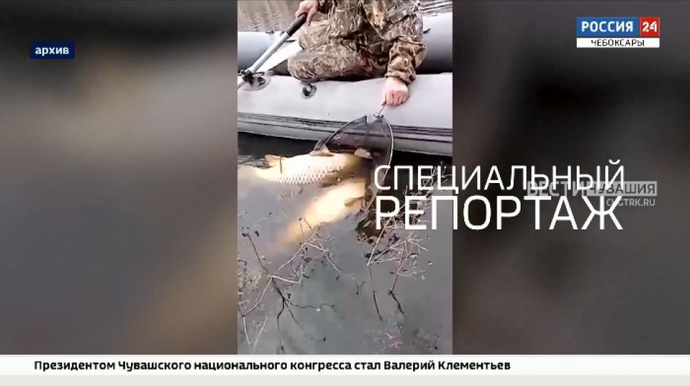 Работы журналистов ГТРК «Чувашии» отметили на всероссийском конкурсе "СМИ против коррупции" Работы журналистов ГТРК «Чувашии» отметили на всероссийском конкурсе "СМИ против коррупции"
