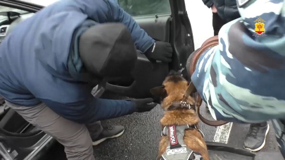 В Чувашии полицейские задержали наркокурьера из Самарской области В Чувашии полицейские задержали наркокурьера из Самарской области