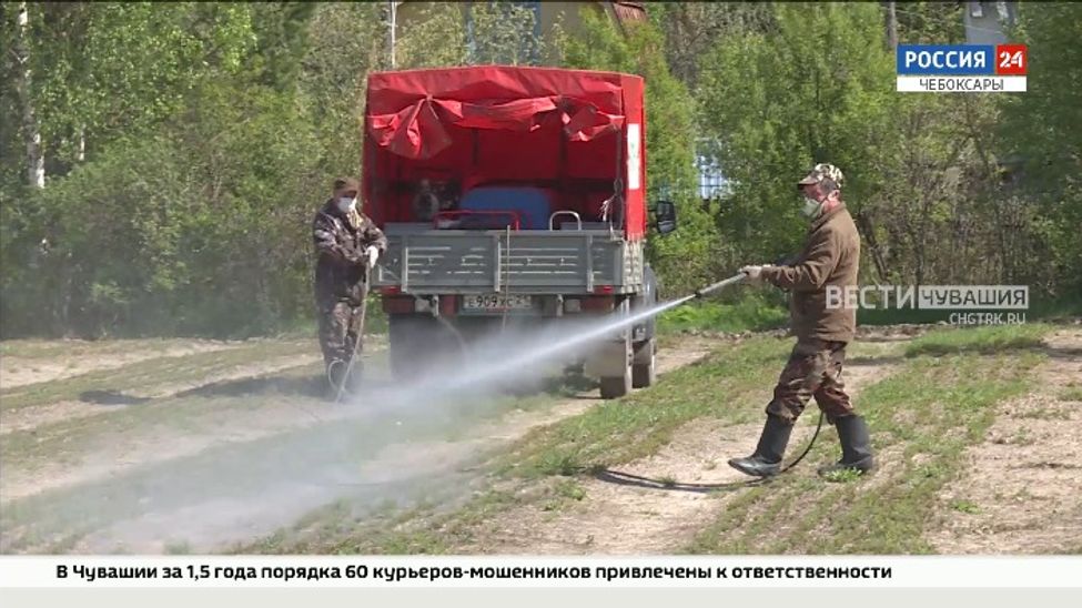 В лесных питомниках Чувашии вырастили около 6 млн семян и саженцев В лесных питомниках Чувашии вырастили около 6 млн семян и саженцев