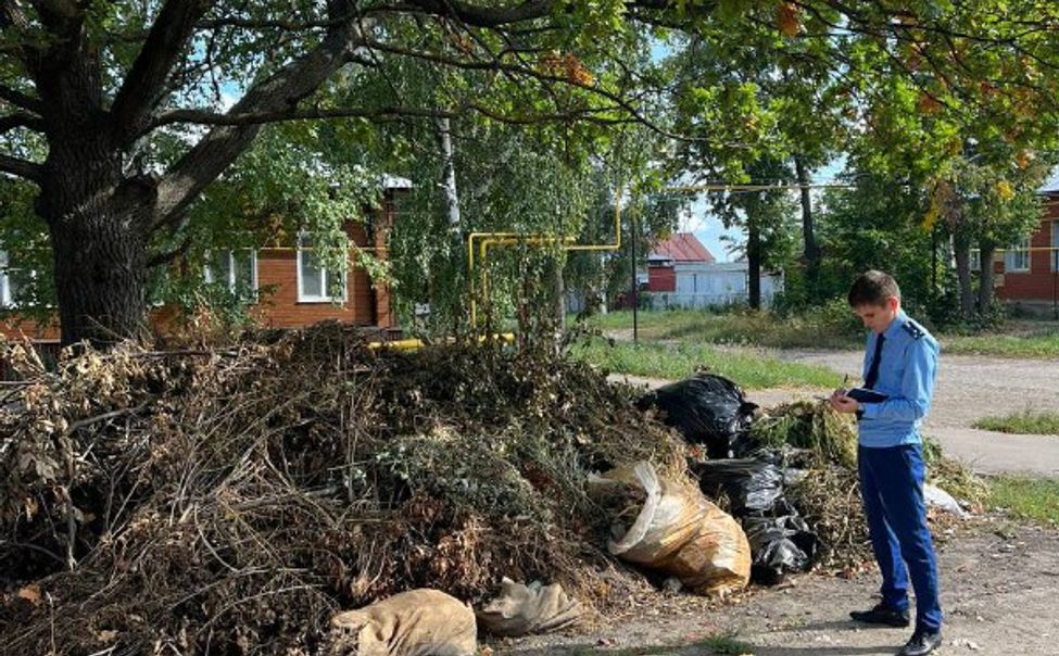 На трех улицах Алатыря ликвидировали несанкционированные свалки мусора