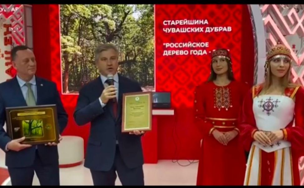 На ВДНХ состоялось торжественное награждение «Старейшины чувашских дубрав» — российского дерева года – 2023
