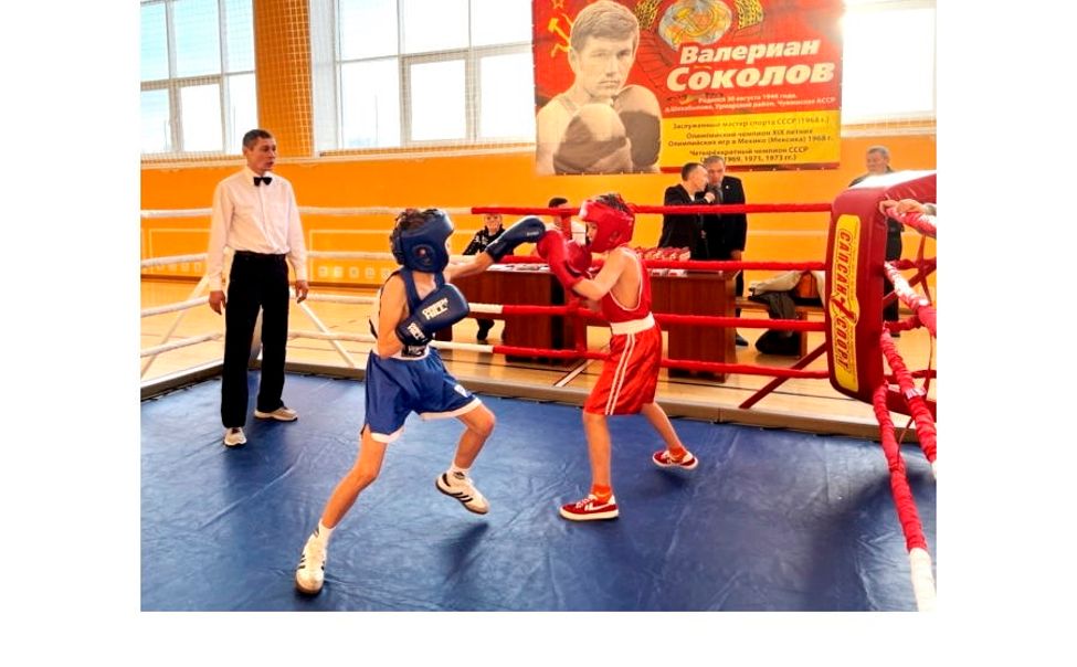 В Чувашии состоялся турнир по боксу на призы олимпийского чемпиона Валериана Соколова