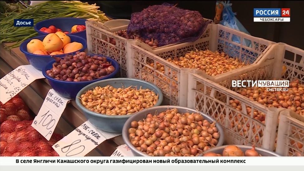 На ярмарке "Весна-2024" в Чувашии намерены реализовать больше 100 тонн семенного картофеля