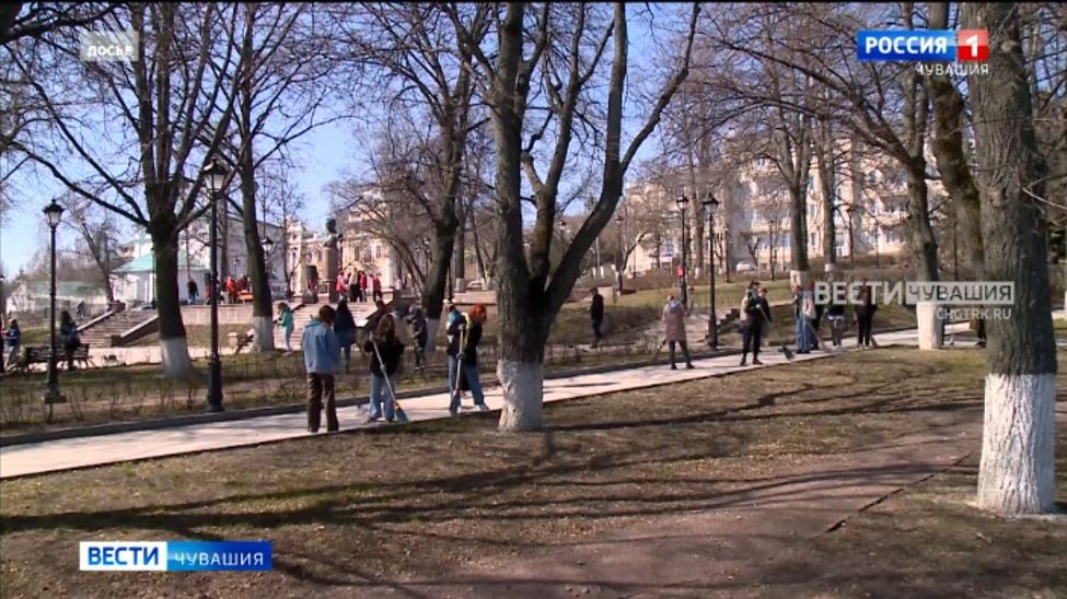 В Чебоксарах высадят 310 деревьев и 295 кустарников В Чебоксарах высадят 310 деревьев и 295 кустарников