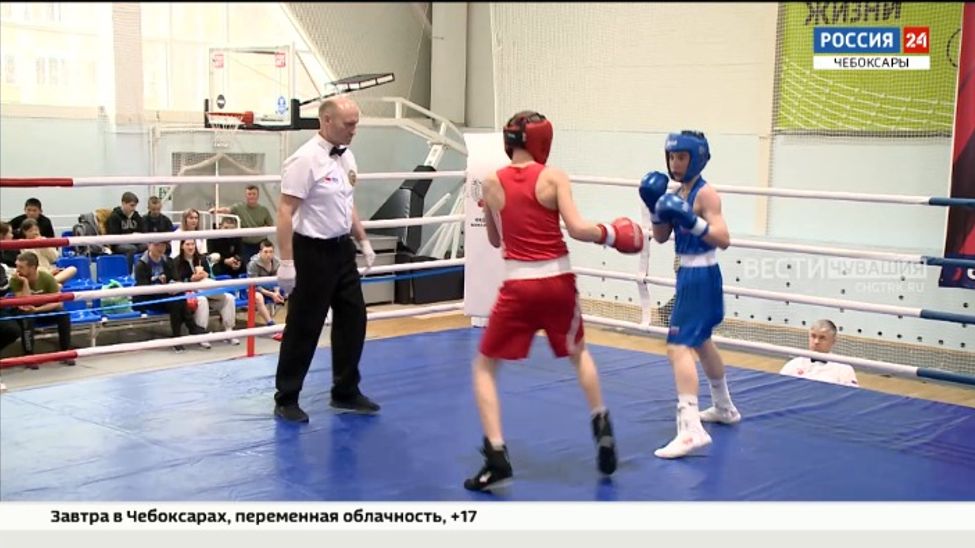 В Чебоксарах боксеры спортобщества «Россия» продолжают борьбу за награды центрального совета