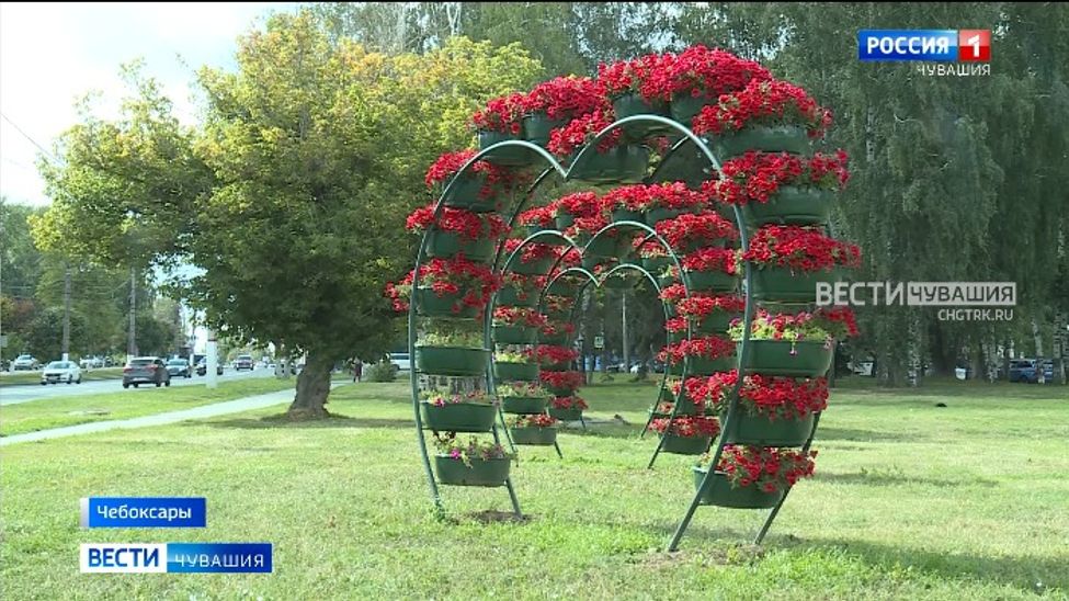 Для цветочной карты России Чебоксарам передали более 16 тысяч кустов роз Для цветочной карты России Чебоксарам передали более 16 тысяч кустов роз