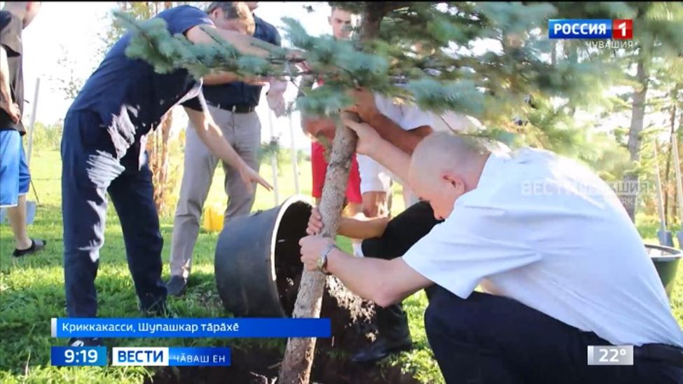 Шупашкар тӑрӑхӗнчи космонавтсен садӗнче паллӑ боксерсем йывӑҫсем лартрӗҫ Шупашкар тӑрӑхӗнчи космонавтсен садӗнче паллӑ боксерсем йывӑҫсем лартрӗҫ