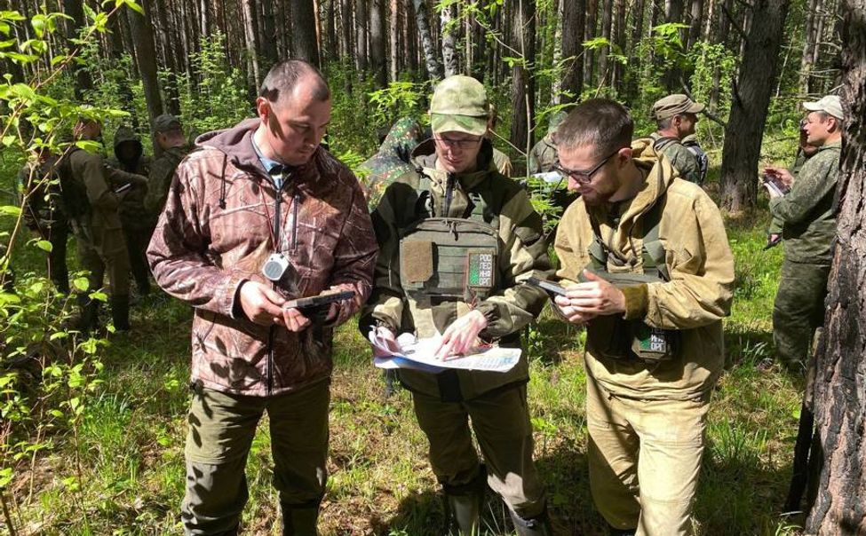 Весь год леса Чувашии будет обследовать Рослесинфорг