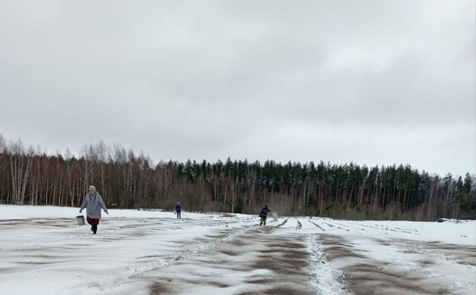 В лесничествах Чувашии в самом разгаре весенний лесокультурный сезон