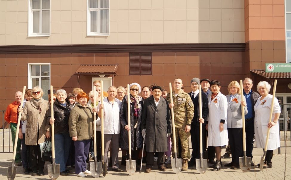 У Центральной городской больницы высадили «Аллею Победы» У Центральной городской больницы высадили «Аллею Победы»