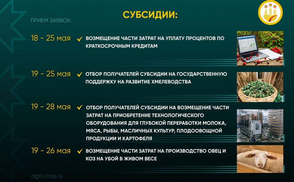 Минсельхоз Чувашии напомнил еще о 4-х видах господдержки, доступных аграриям Минсельхоз Чувашии напомнил еще о 4-х видах господдержки, доступных аграриям