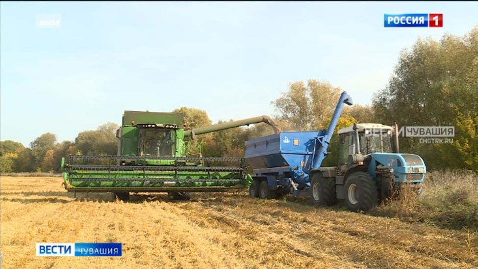 Аграрии Чувашии собрали более 468 тысяч тонн зерна