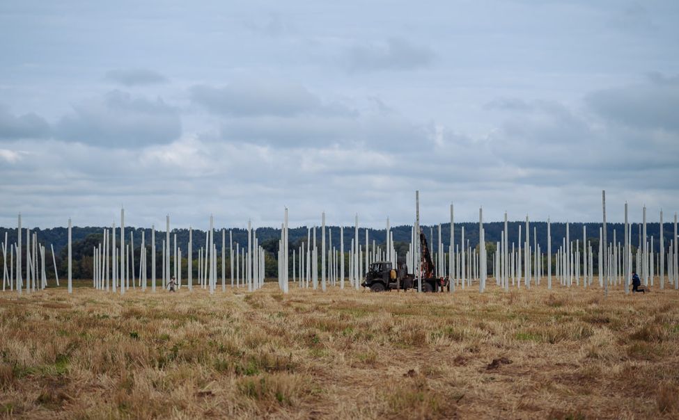 В Чувашии на базе аграрных техникумов заложат 100 га хмельников