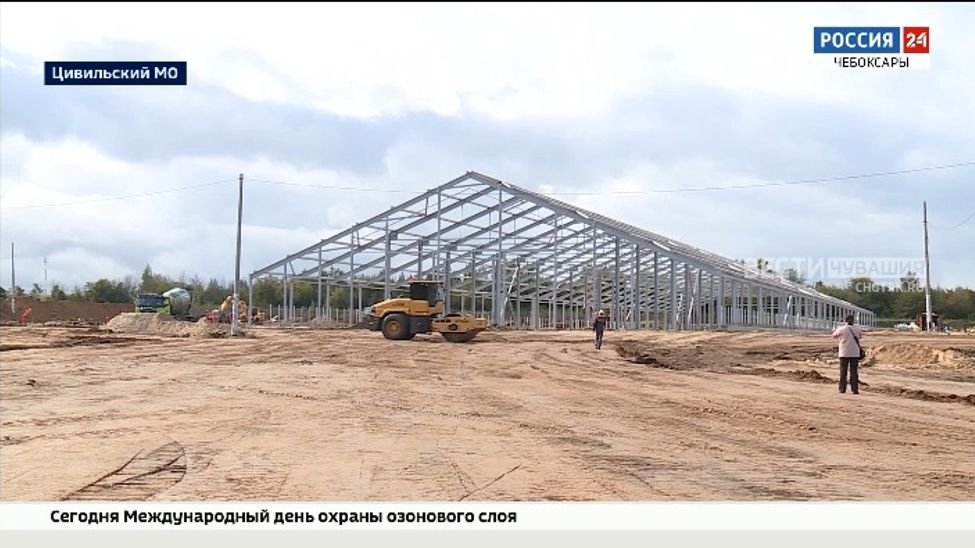В Цивильском округе построят крупнейшую в республике молочную ферму на 4800 голов