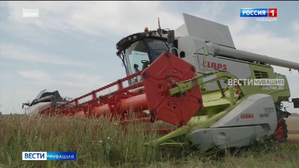 В Чувашии собрано более 830 тыс тонн зерновых и зернобобовых