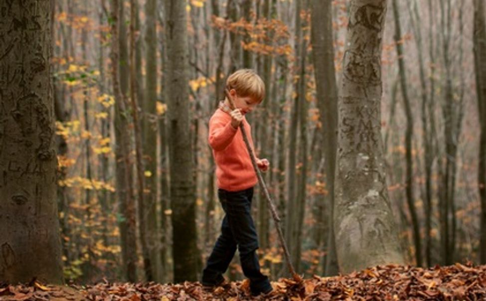 В Чувашии мальчик, обидевшись на родителей, сбежал в лес