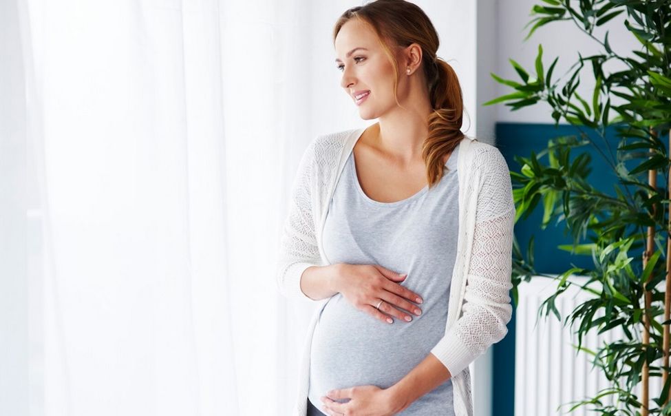 МФЦ Чувашии напомнил о новых правилах выплат беременным студенткам