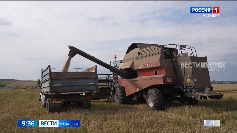 Комбайн рулӗ умне колхоз председателӗ хӑй ларнӑ