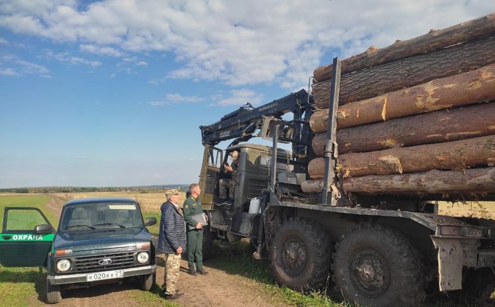 Минприроды Чувашии контролирует перевозку древесины