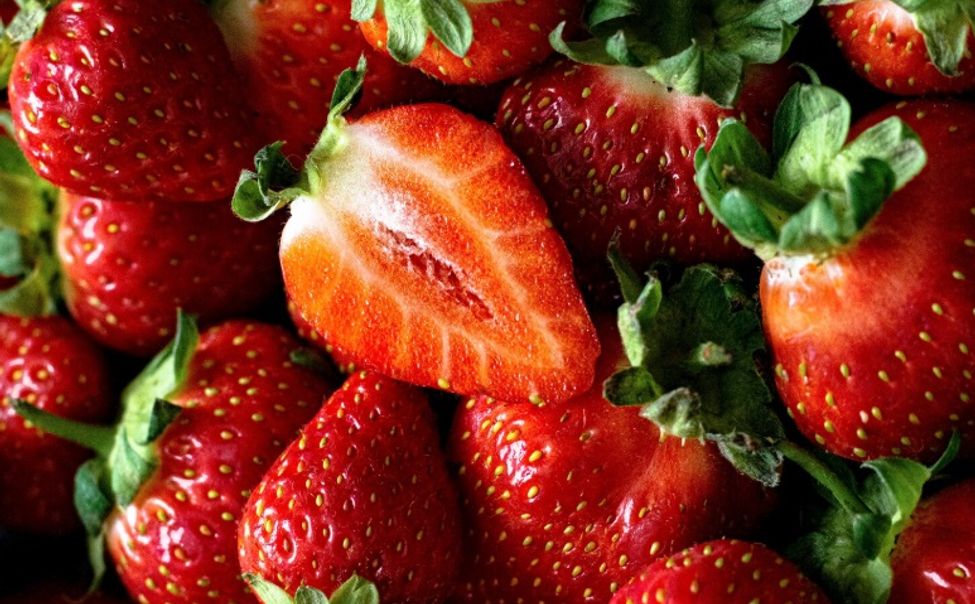 17 аграриев Чувашии получат гранты на развитие