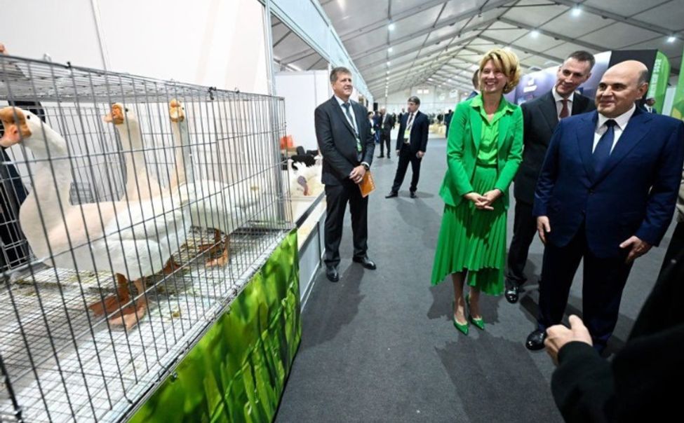 "Макулинские" гуси снова стали триумфаторами всероссийской агровыставки