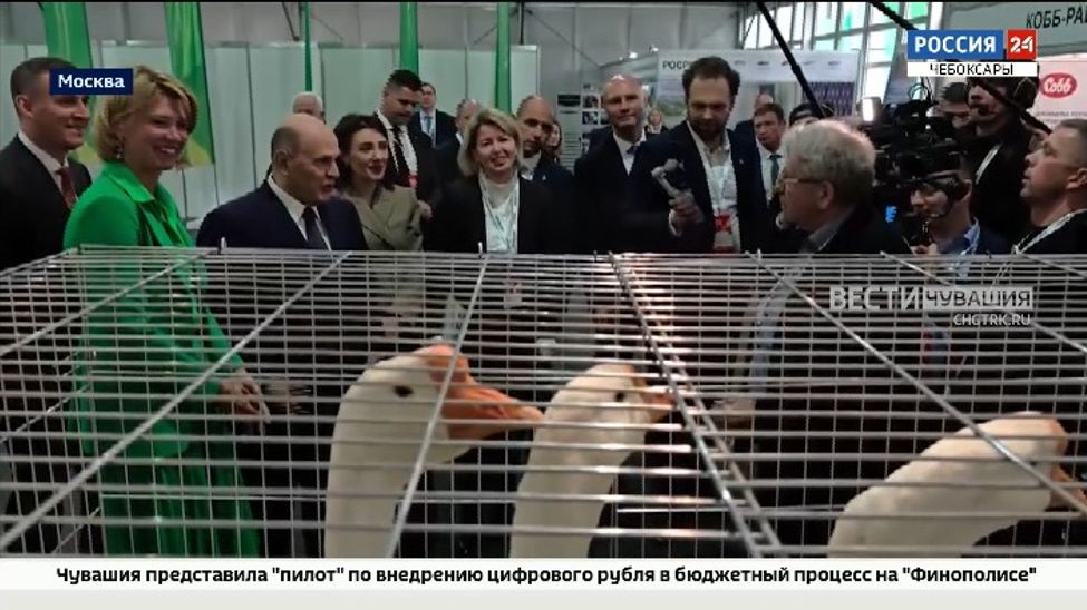 «Счастливые» гуси из Чувашии покорили Михаила Мишустина на агровыставке "Золотая осень"