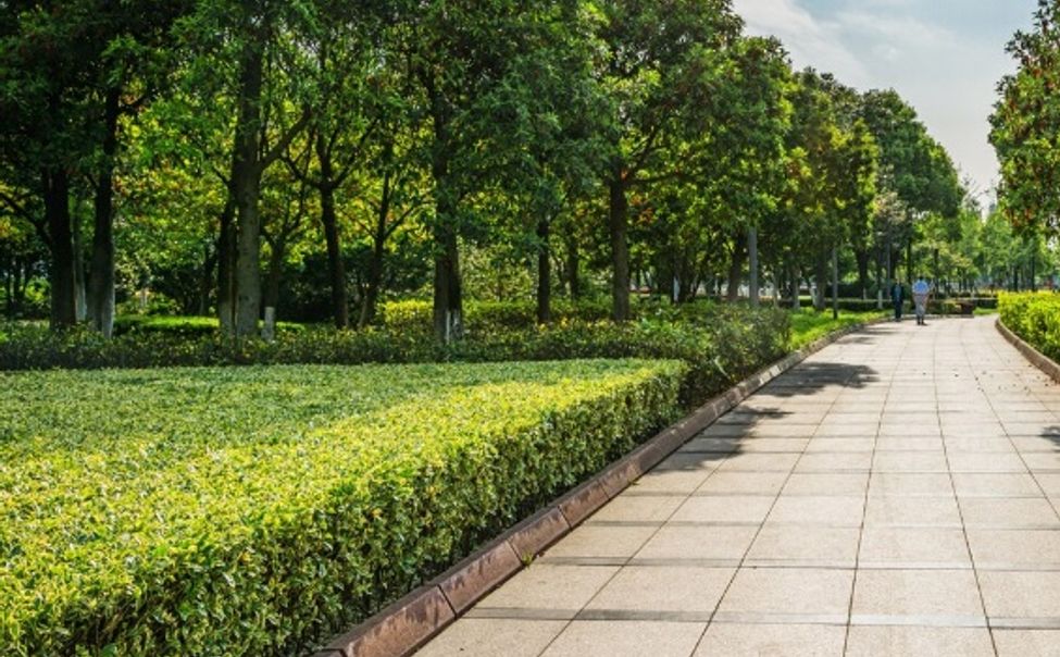 Округа Чувашии поощрили грантами за эффективную работу