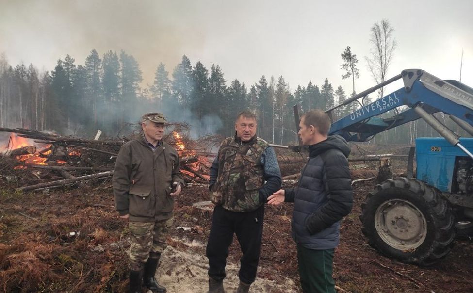 В Чувашии  инспекторы проверяют лесозаготовителей