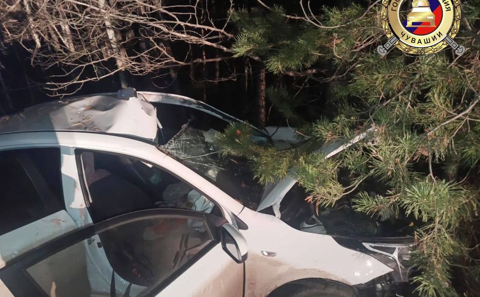  В Шемуршинском округе сбили лося, водитель в больнице