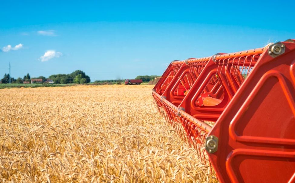 Средняя урожайность в Чувашии побила прошлые рекорды