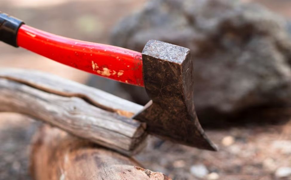 Козловчанка насмерть забила брата топором